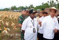 Presiden Joko Widodo (kanan) berbincang dengan Bupati Keerom Piter Gusbager (kiri) usai memanen jagung di kawasan lumbung pangan (food estate) Kampung Wambes, Distrik Mannem, Keerom, Papua, Kamis, 6 Juli 2023. 